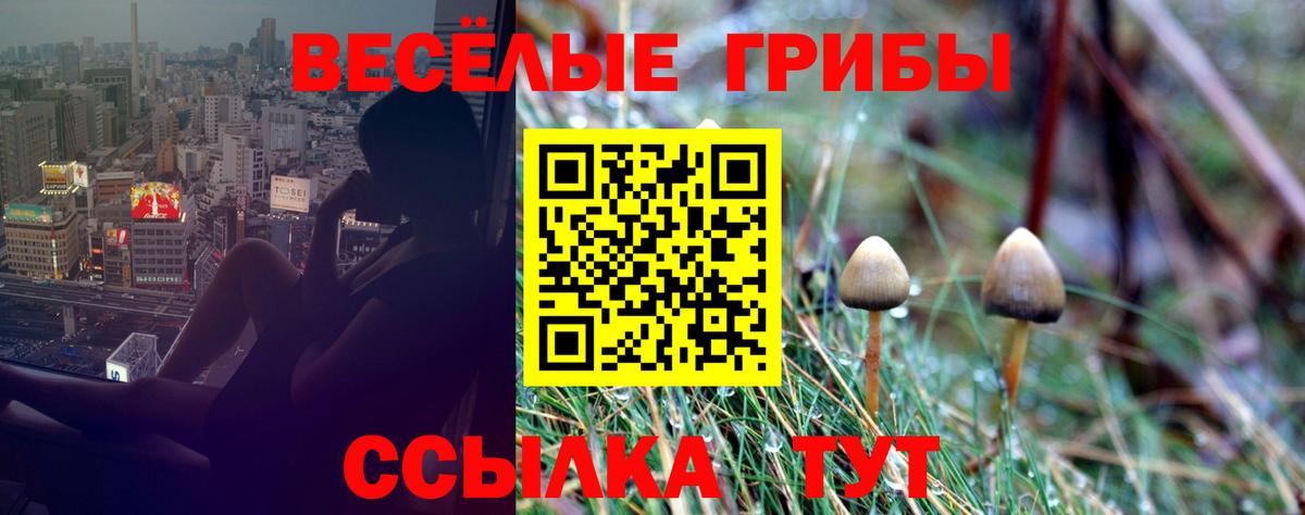 Псилоцибиновые грибы Psilocybine cubensis  Галлюциногенные грибы ЛСД  Анапа  Вход с VPN 