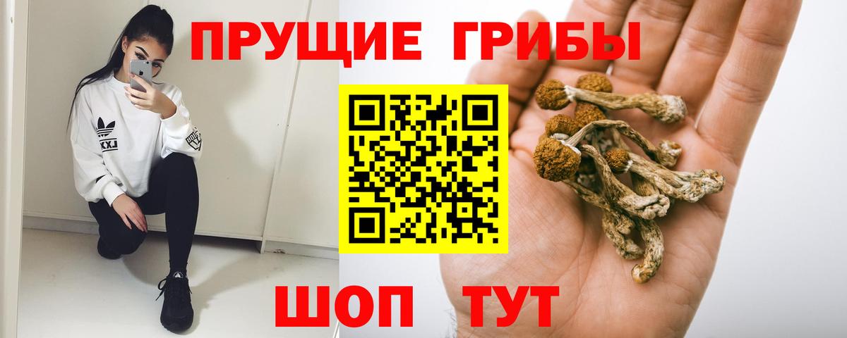 Галлюциногенные грибы GOLDEN TEACHER Анапа
